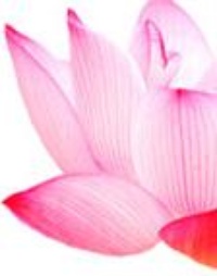 Picture for Life Purpose Coaching Program package